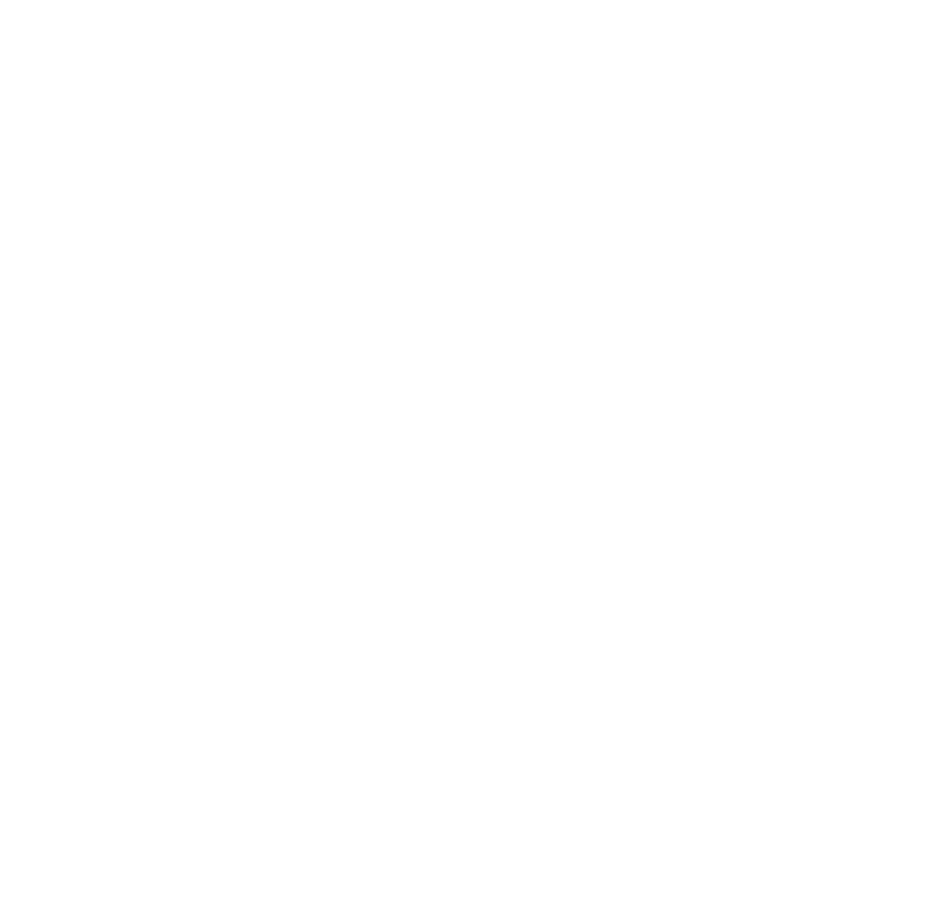 Road Angel logo