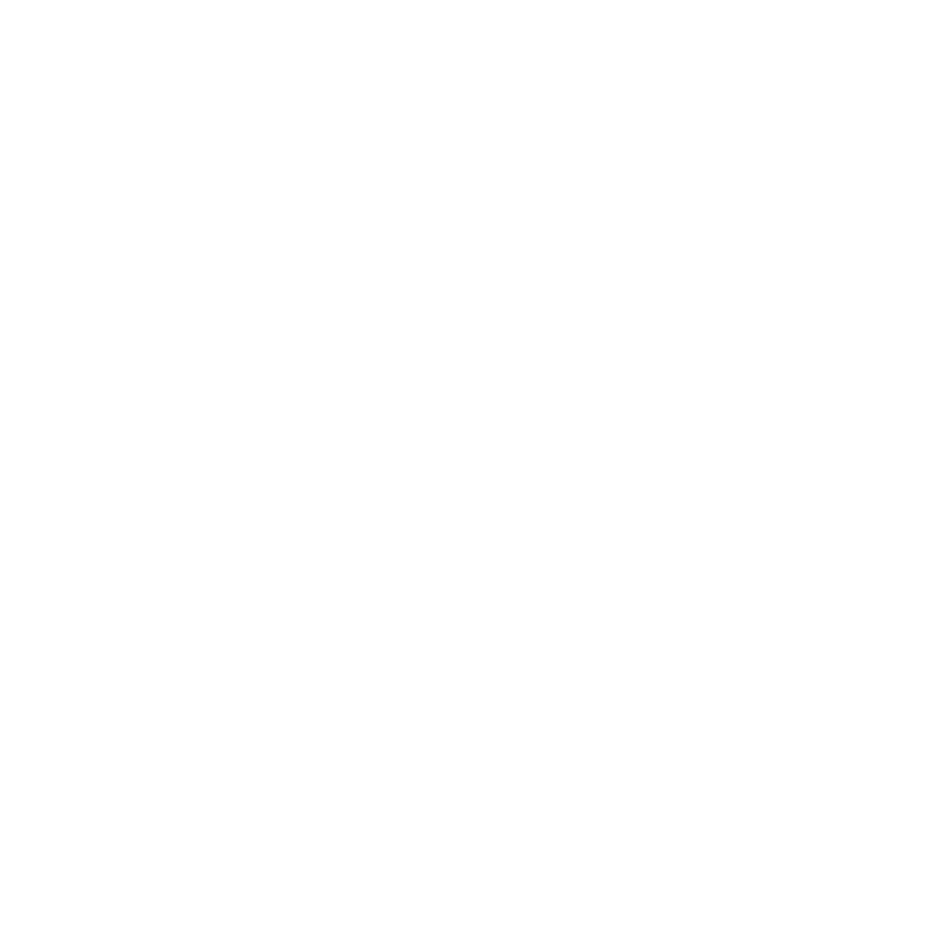 Temu logo