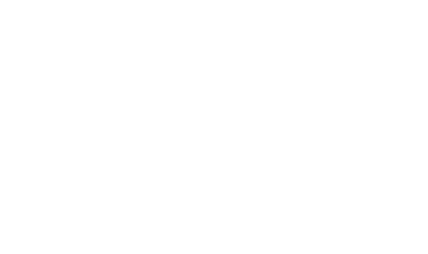 Western Digital logo
